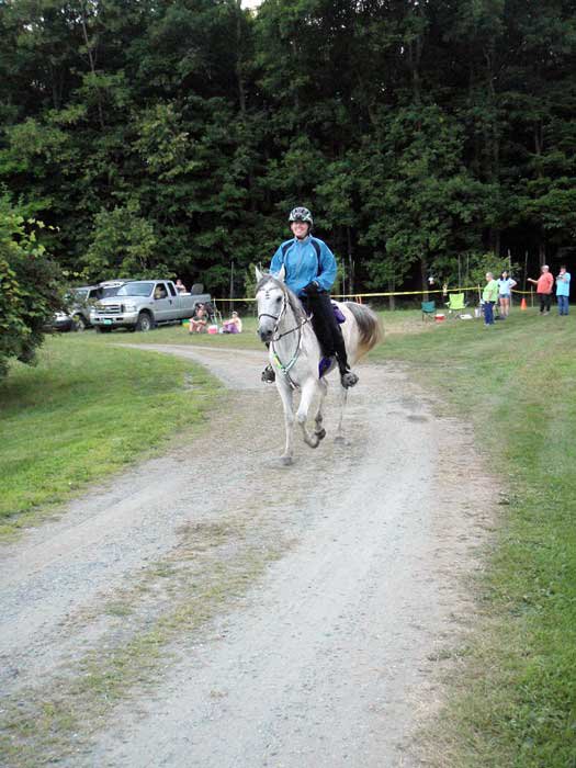 Last Loop VT 100 2011